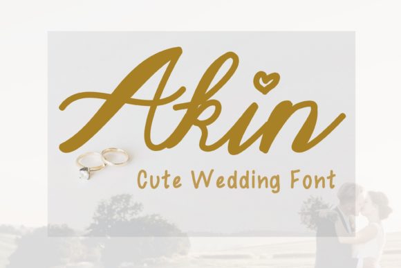 Akin: The Delicate Script Font for Modern Designs