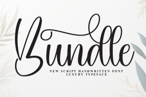 Bundle: The Elegant Script for Modern Design